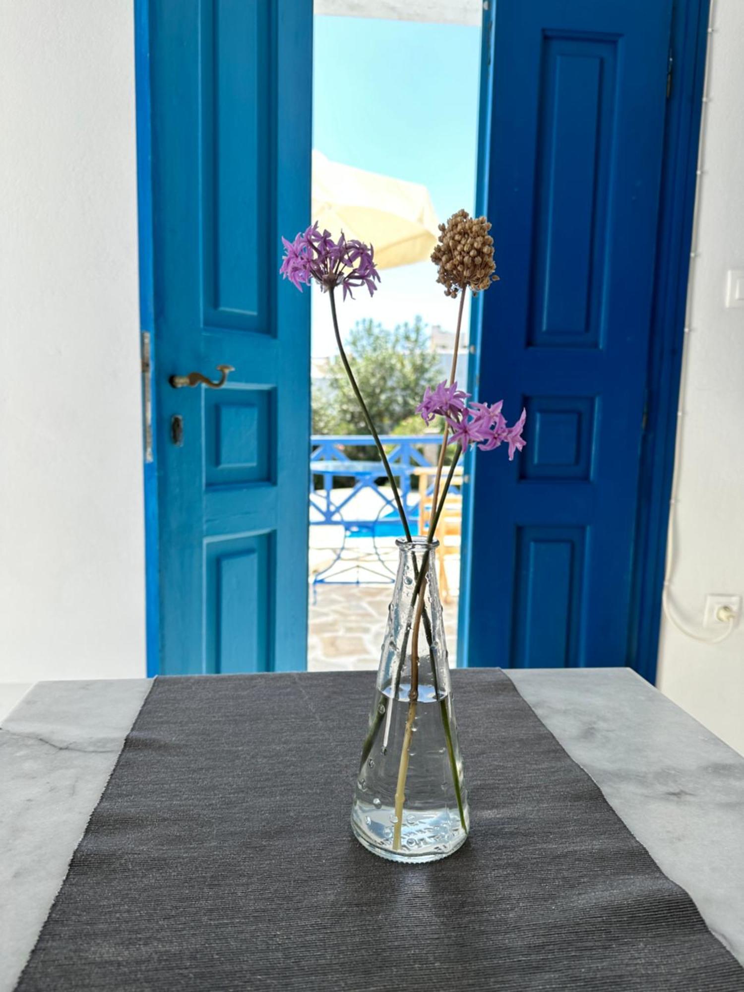 Iliopetra Studios Chrisi Akti  Extérieur photo