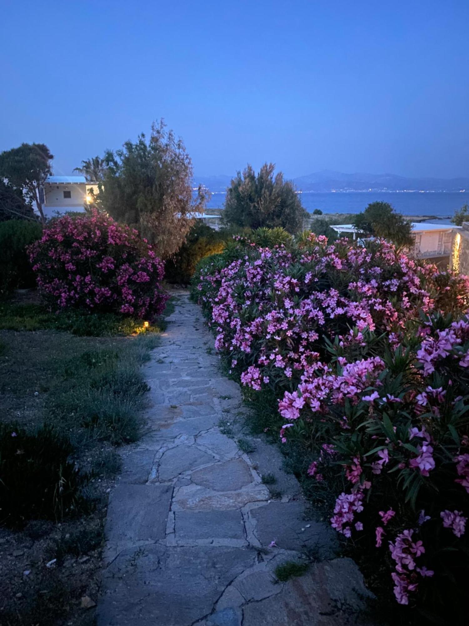Iliopetra Studios Chrisi Akti  Extérieur photo
