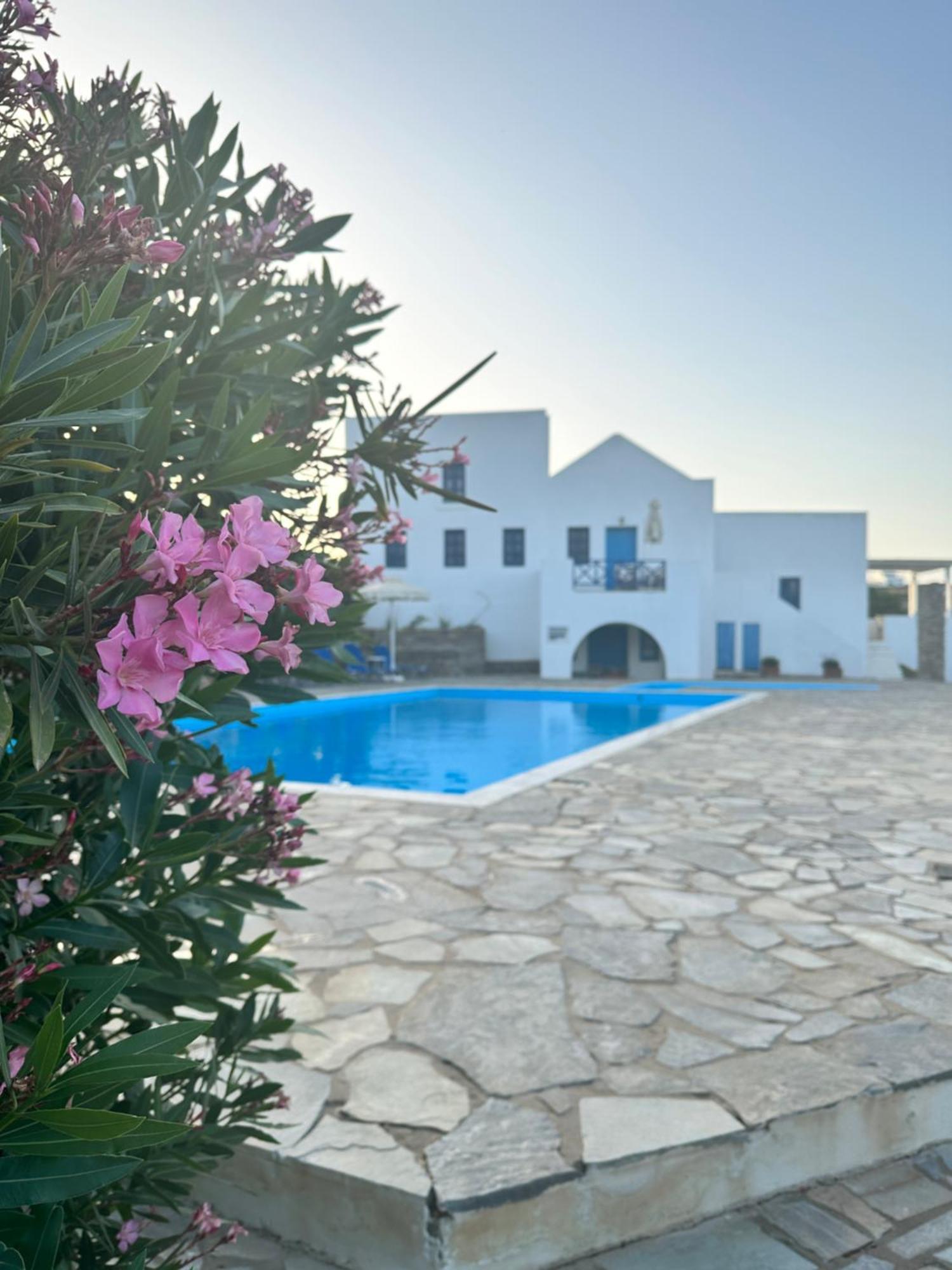 Iliopetra Studios Chrisi Akti  Extérieur photo